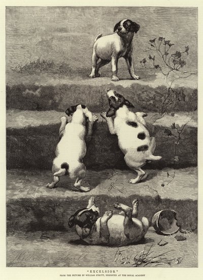 Excelsior de William Strutt